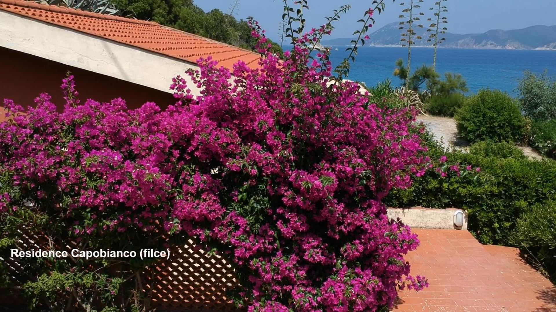 Residence Capobianco Portoferraio Buitenkant foto